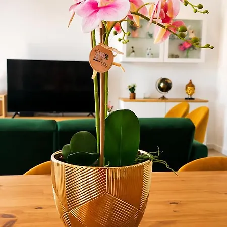 Casa de Férias Azemeira's *